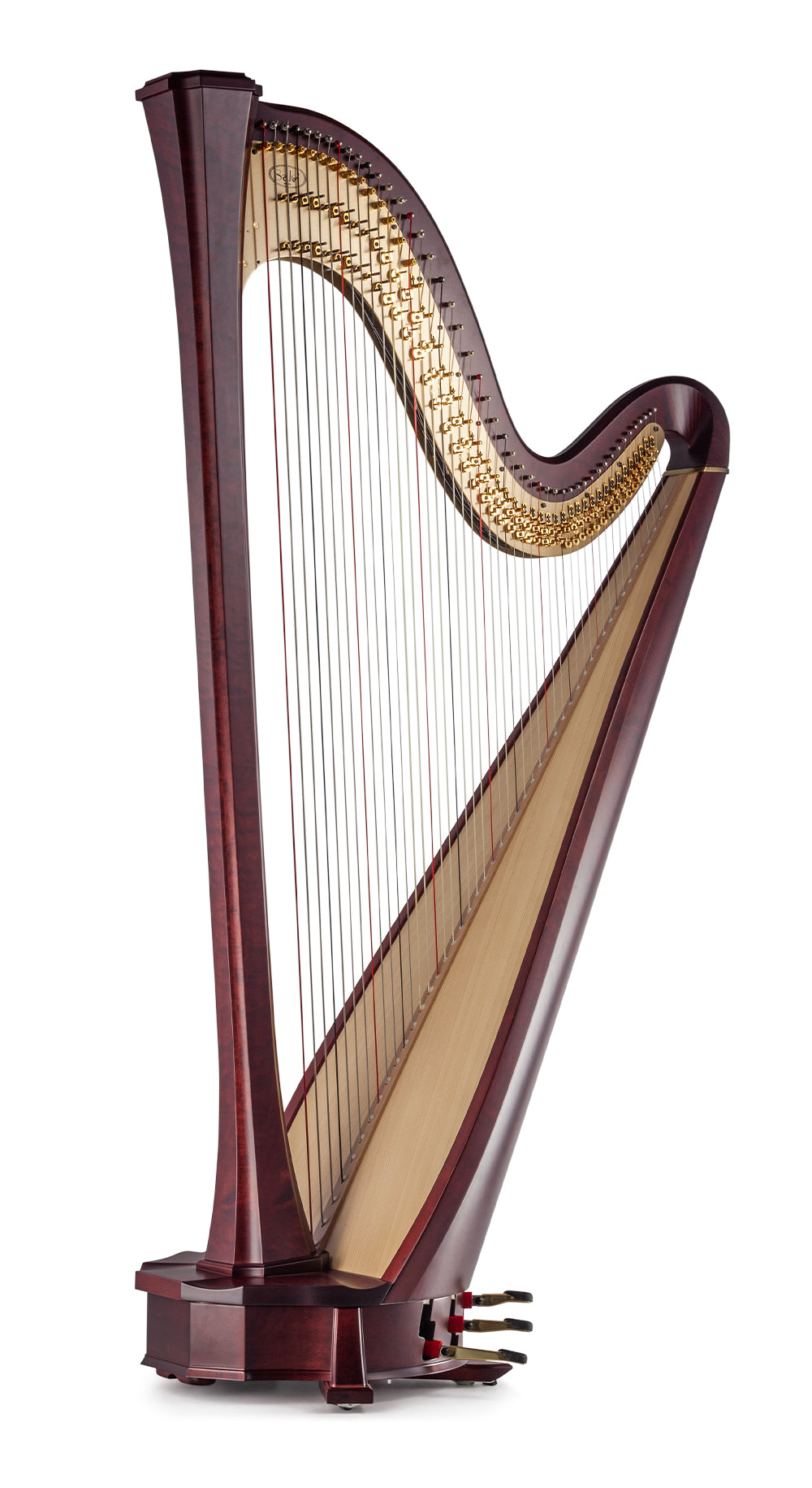 Arion SG