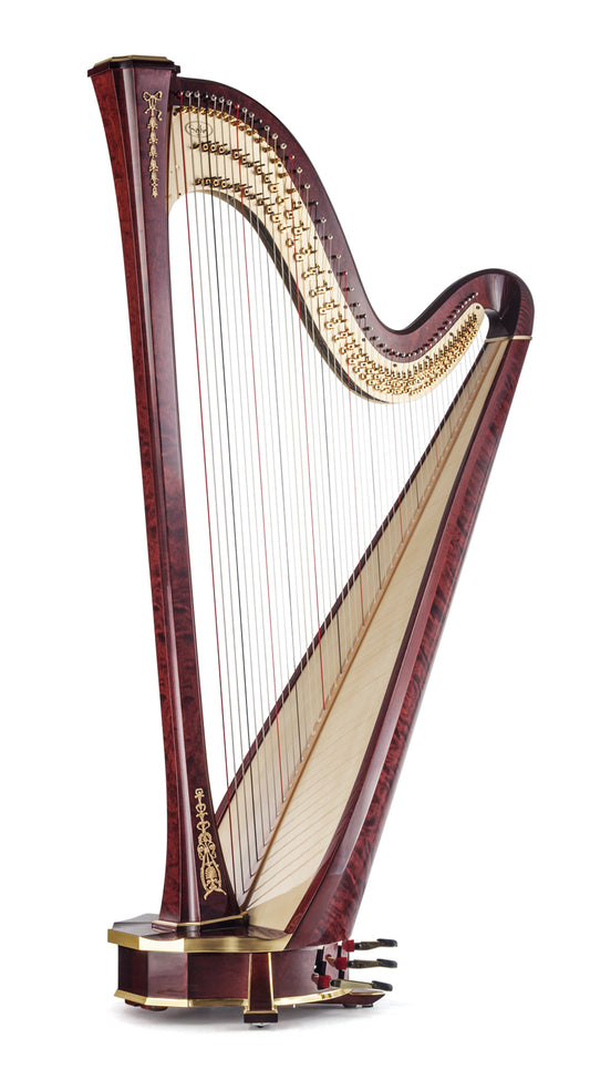 Arion SG Gold