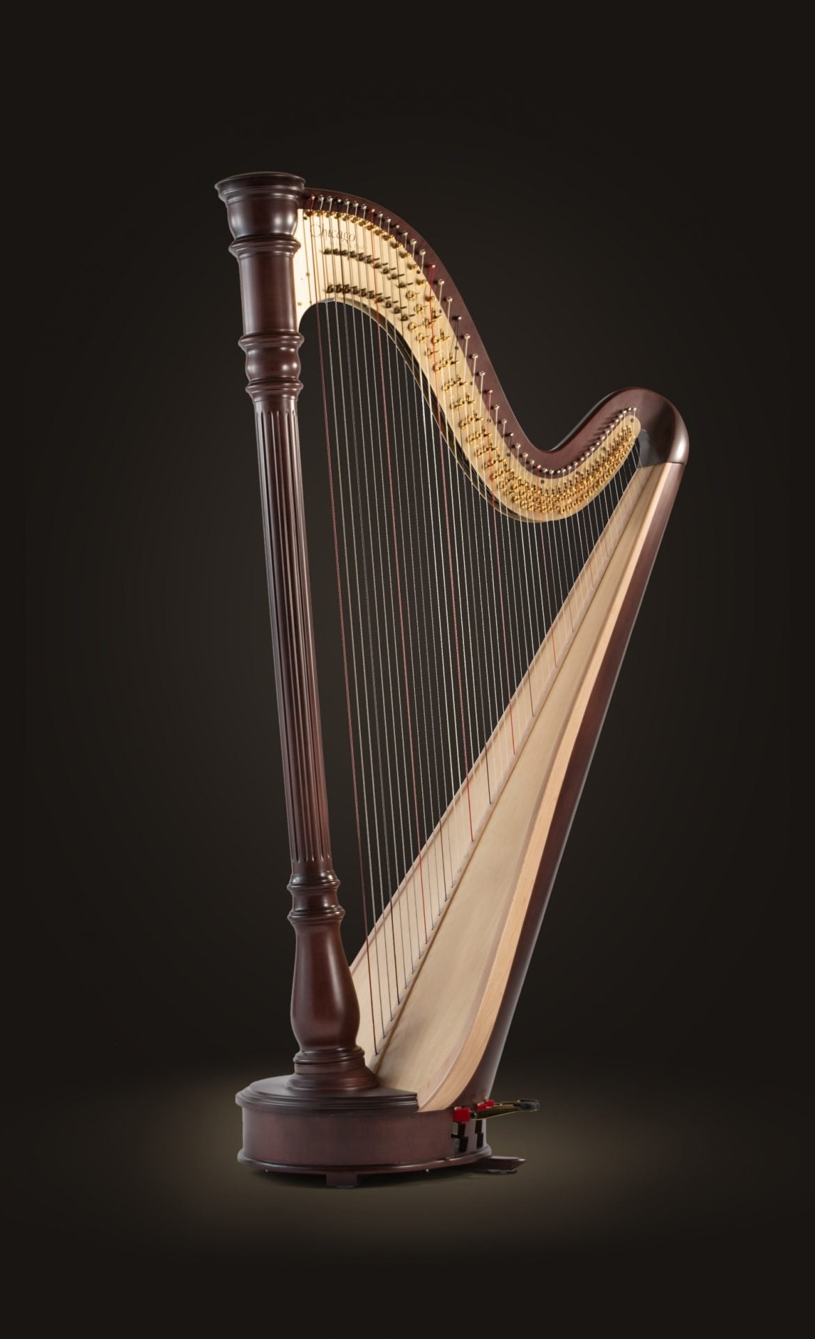 Chicago Concertino Extended