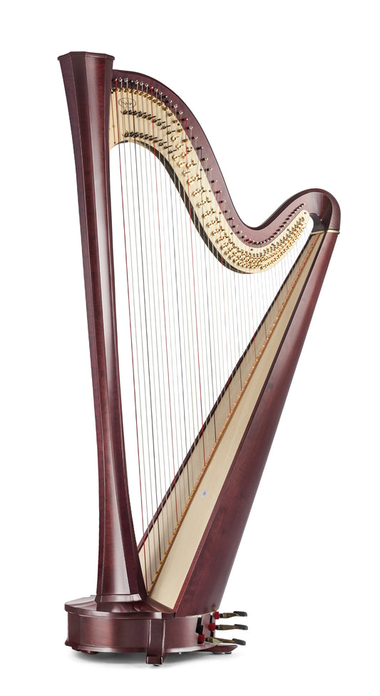 Electra SG Essential